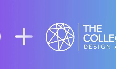 WordPress Hosting with Divi and The Collective